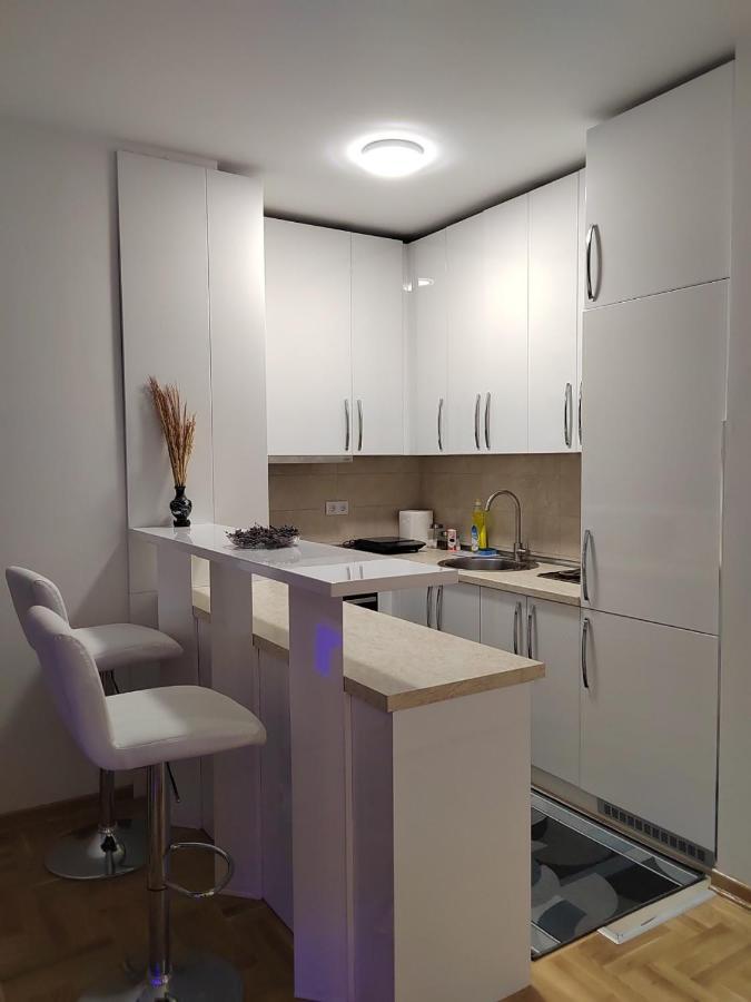 Apartment Mancic *